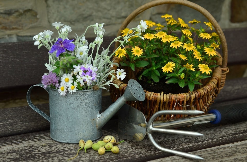 Les conseils pour planter des fleurs selon les saisons et types de sol